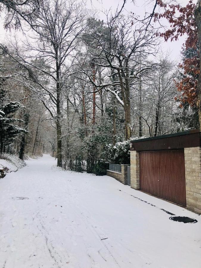 Large Wuerzburg Apartment Екстер'єр фото