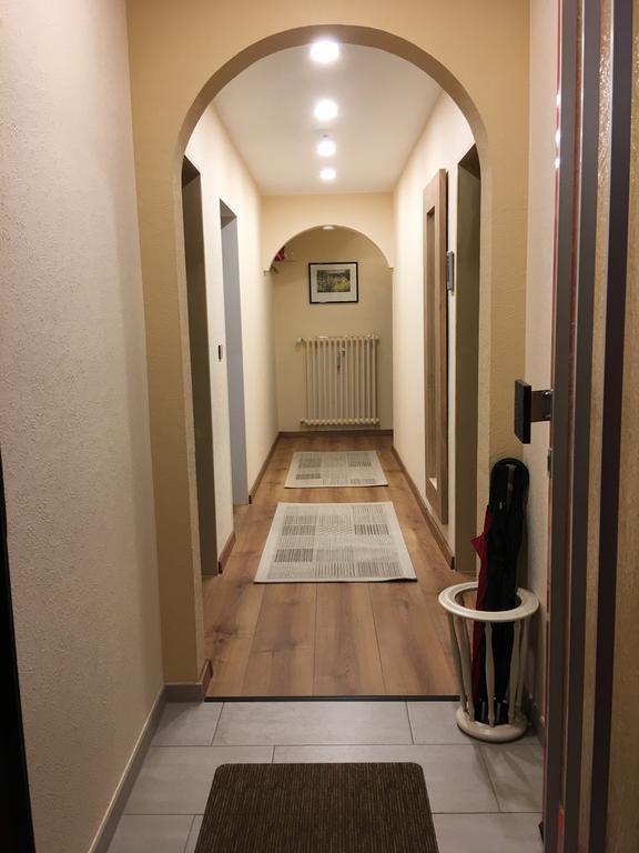 Large Wuerzburg Apartment Екстер'єр фото